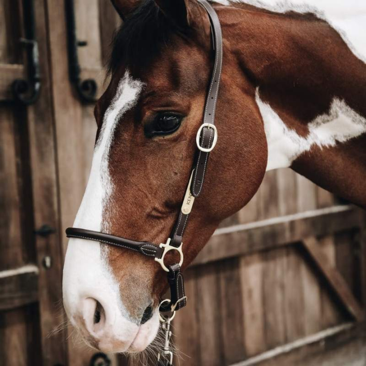 Pflegehalfter Artificial Leather Braun in der Gruppe Pferdezubehör & Pferdebedarf / Halfter / Lederhalfter bei Equinest (4251205COBBR_r)