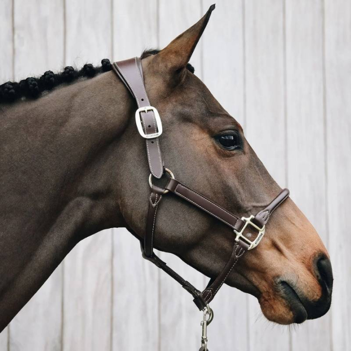 Anatomisches Kunstlederhalfter Braun in der Gruppe Pferdezubehör & Pferdebedarf / Halfter / Lederhalfter bei Equinest (42513Br_r)