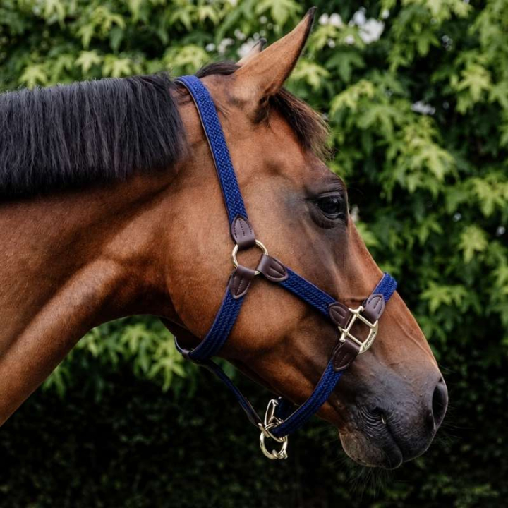 Geflochtenes Nylonhalfter Marineblau in der Gruppe Pferdezubehör & Pferdebedarf / Halfter / Stoff- & Nylonhalfter bei Equinest (42516Ma_r)