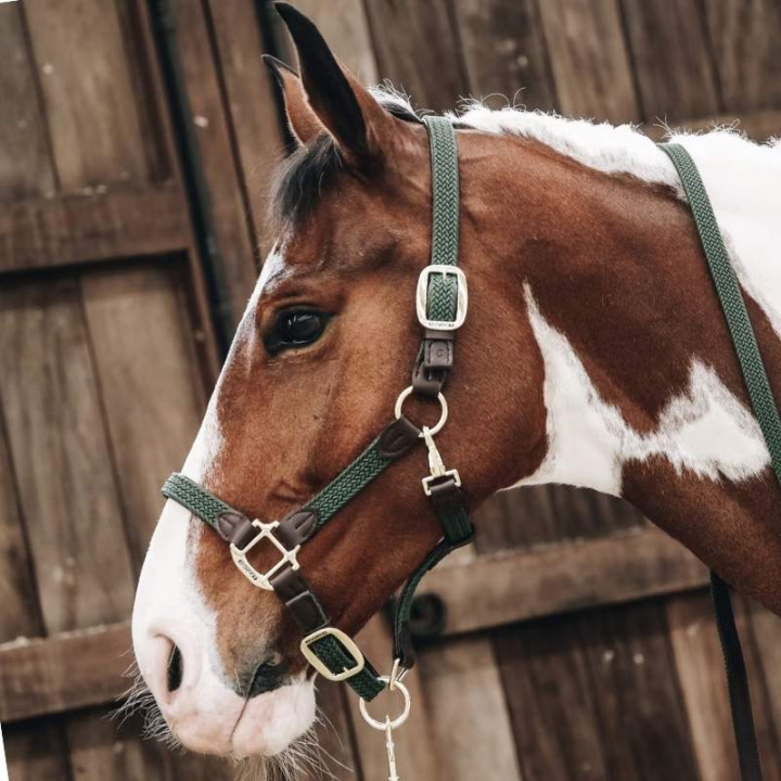 Geflochtenes Nylonhalfter Olivgrün in der Gruppe Pferdezubehör & Pferdebedarf / Halfter / Stoff- & Nylonhalfter bei Equinest (42516Ol_r)
