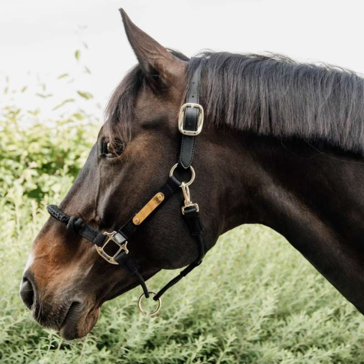 Halfter Control Nylon Rope Schwarz in der Gruppe Pferdezubehör & Pferdebedarf / Halfter / Lederhalfter bei Equinest (4252601COBBA_r)