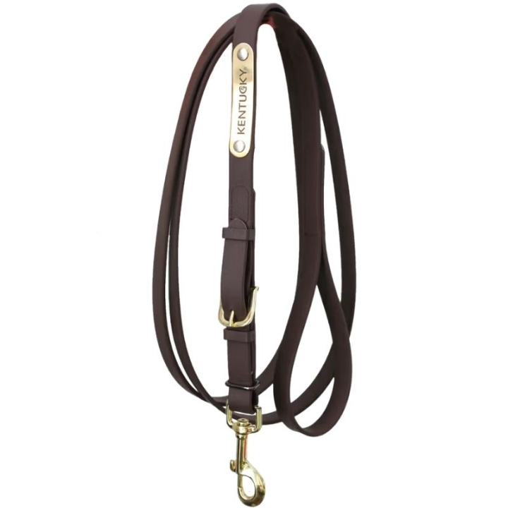 Vorführstrick Artificial Leather Braun in der Gruppe Pferdezubehör & Pferdebedarf / Führstricke & Transportstricke / Lederstricke bei Equinest (425270503BR)