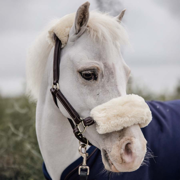 Lederhalfter Pony Artificial Sheepskin Braun in der Gruppe Pferdezubehör & Pferdebedarf / Halfter / Lederhalfter bei Equinest (4254105PBR)