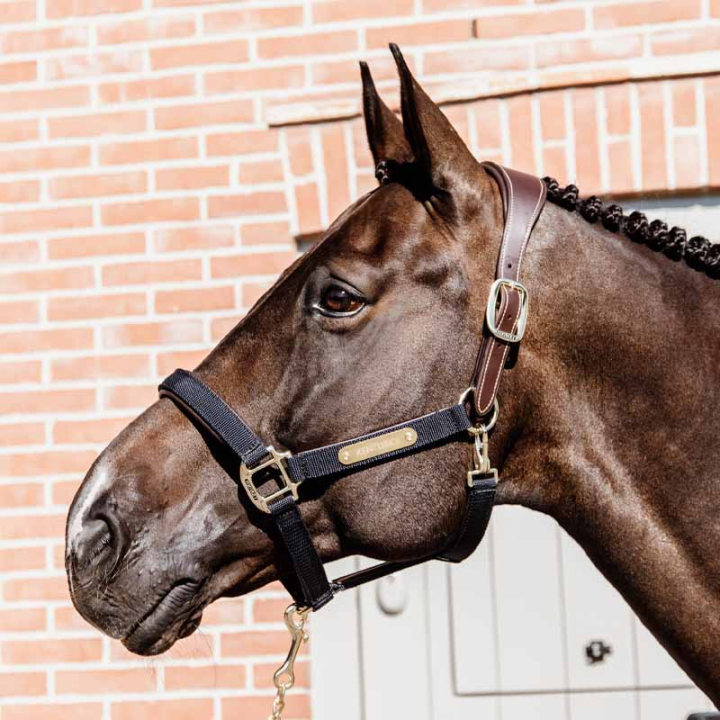 Halfter Anatomic Nylon Marineblau in der Gruppe Pferdezubehör & Pferdebedarf / Halfter / Stoff- & Nylonhalfter bei Equinest (4256003COBNA_r)