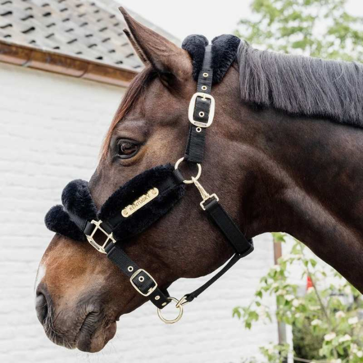 Halfter Sheepskin Soft Schwarz in der Gruppe Pferdezubehör & Pferdebedarf / Halfter / Stoff- & Nylonhalfter bei Equinest (4256501COBBA_r)
