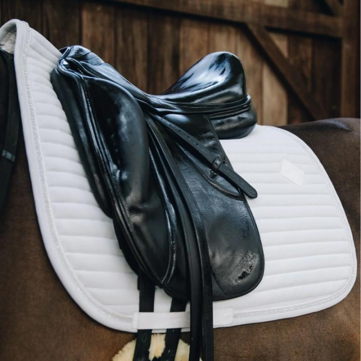 Dressurschabracke Pearls Weiß in der Gruppe Pferdezubehör & Pferdebedarf / Schabracken / Dressurschabracken bei Equinest (42572Vi_r)