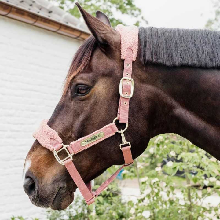 Halfter Teddy Fleece Altrosa in der Gruppe Pferdezubehör & Pferdebedarf / Halfter / Stoff- & Nylonhalfter bei Equinest (4257310COBOPI_r)