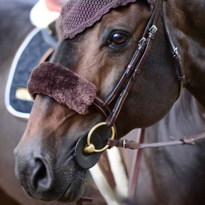 Nasenschutz aus Schaffell Braun in der Gruppe Pferdezubehör & Pferdebedarf / Zaumzeug & Stirnriemen / Kopf- und Nasenpolsterung bei Equinest (42602BR)