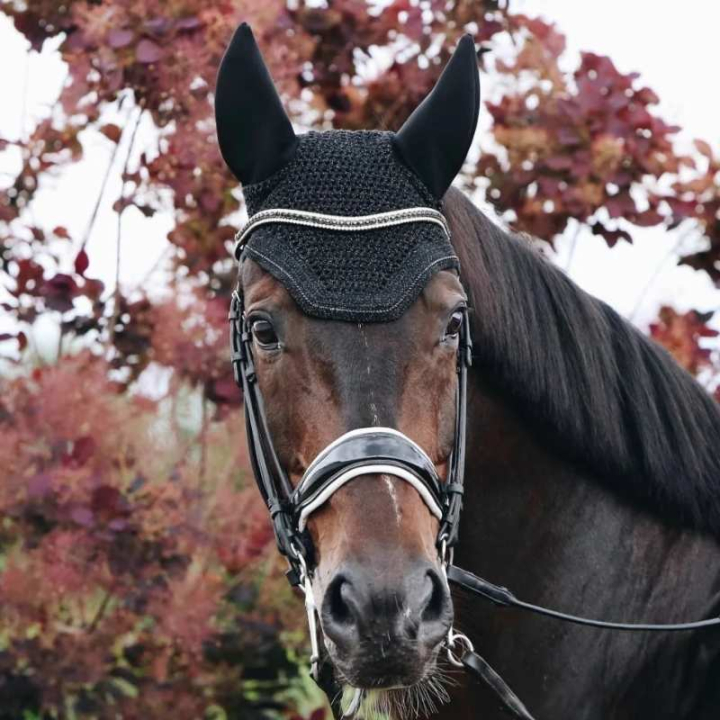 Haube Wellington Sparkling Soundless Schwarz in der Gruppe Pferdezubehör & Pferdebedarf / Fliegenhauben bei Equinest (4261101FBA_r)