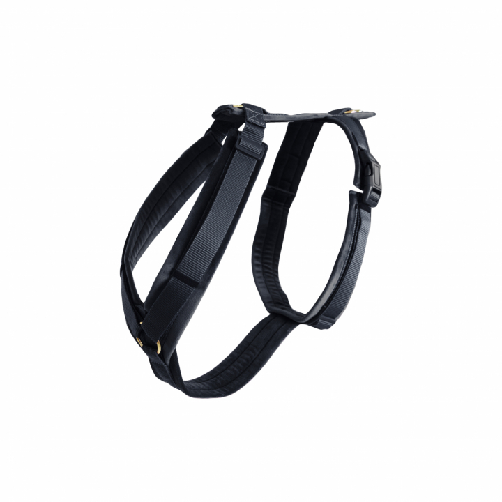 Hundegeschirr Active Velvet Schwarz in der Gruppe Hund / Hundehalsband & Hundegeschirre bei Equinest (42640Sv_r)