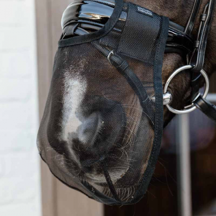 Nasenetz Anti Fly Schwarz in der Gruppe Pferdezubehör & Pferdebedarf / Zaumzeug & Stirnriemen / Trensenzubehör bei Equinest (4266301FBA_r)