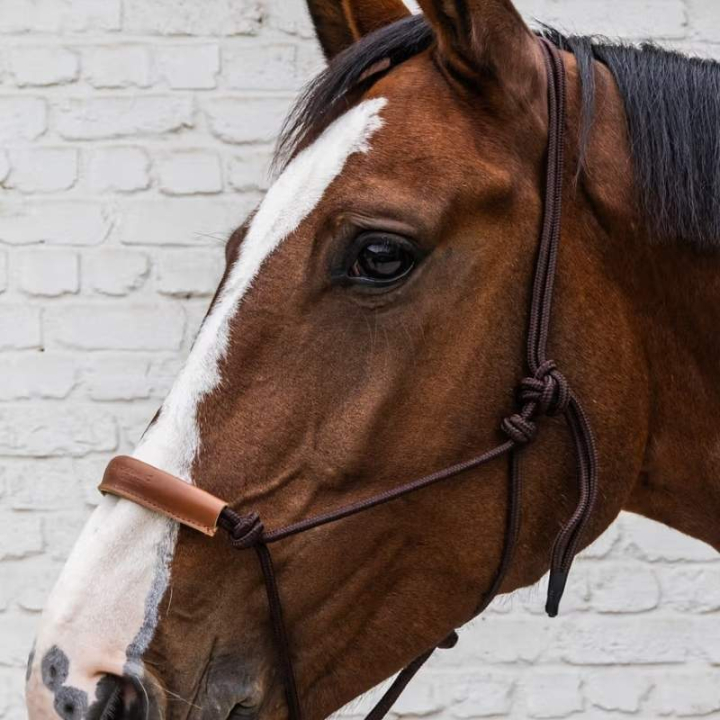 Knotenhalfter Grooming Deluxe Braun in der Gruppe Pferdezubehör & Pferdebedarf / Halfter / Fohlenhalfter bei Equinest (4268605COBBR_r)