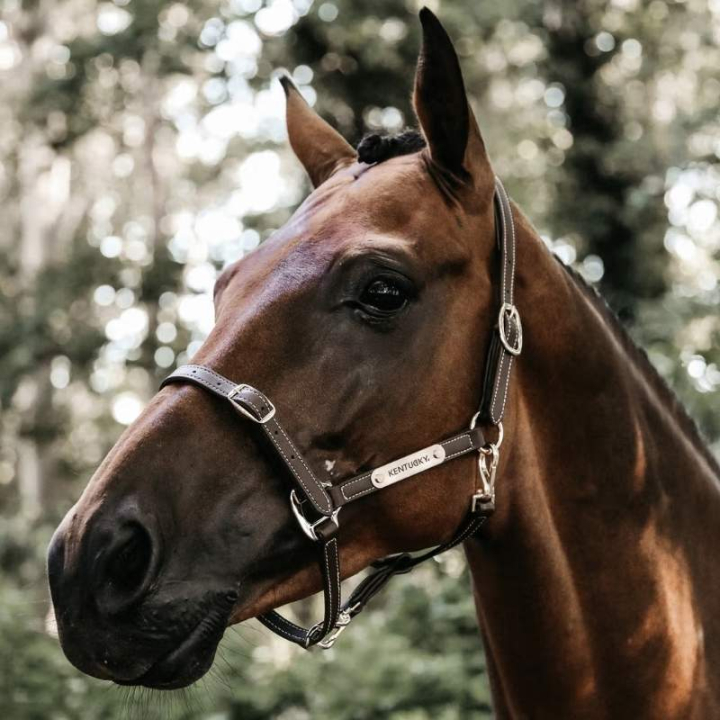 Lederhalfter Artificial Anatomic Flexible Braun in der Gruppe Pferdezubehör & Pferdebedarf / Halfter / Lederhalfter bei Equinest (4271205COBBR_r)