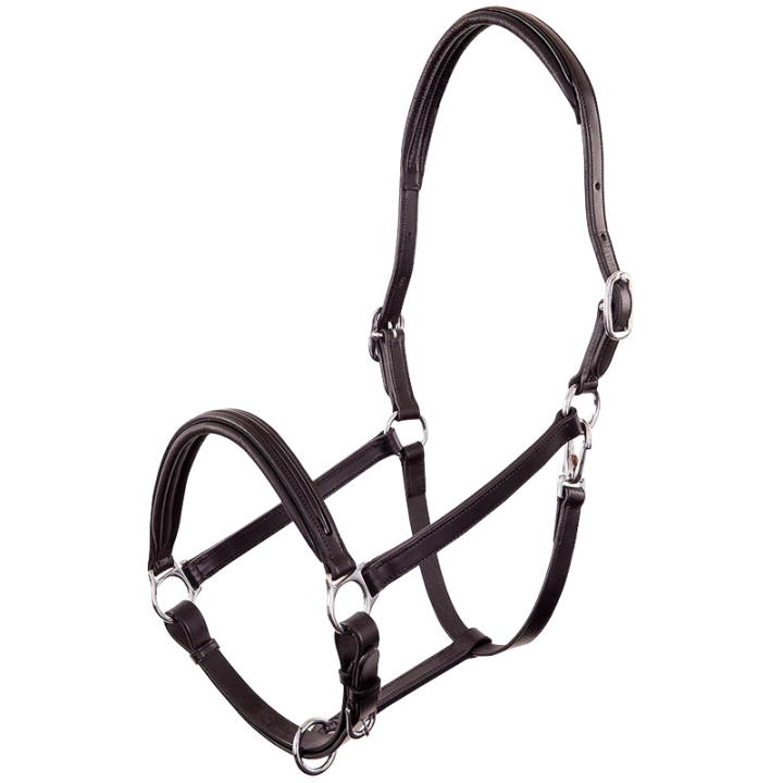 Lederhalfter Florennes Schwarz in der Gruppe Pferdezubehör & Pferdebedarf / Halfter / Lederhalfter bei Equinest (431109B00183BA_r)