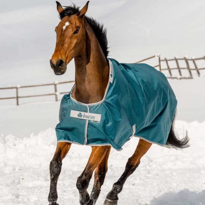 Winterdecke Atlantic Turnout 400g Grün in der Gruppe Pferdedecken / Outdoordecken / Winterdecken bei Equinest (44015-07-400g-Gn_r)