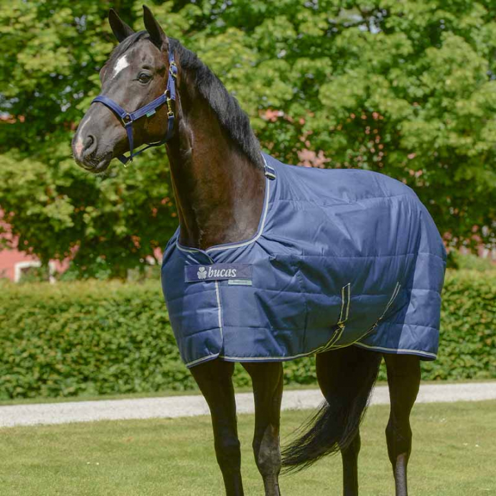 Stalldecke/Unterdecke Quilt 50g Marineblau in der Gruppe Pferdedecken / Stalldecken bei Equinest (45800Ma_r)