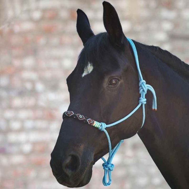 Knotenhalfter Pearls Blau in der Gruppe Pferdezubehör & Pferdebedarf / Halfter / Knotenhalfter bei Equinest (5043250PBL_r)