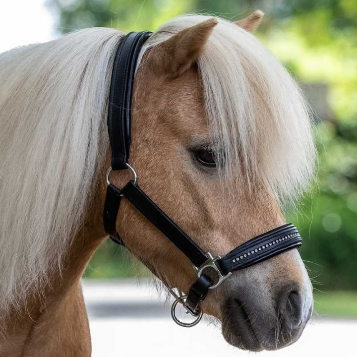 Lederhalfter Diamond Schwarz/Silber in der Gruppe Pferdezubehör & Pferdebedarf / Halfter / Lederhalfter bei Equinest (50436101BASI_r)