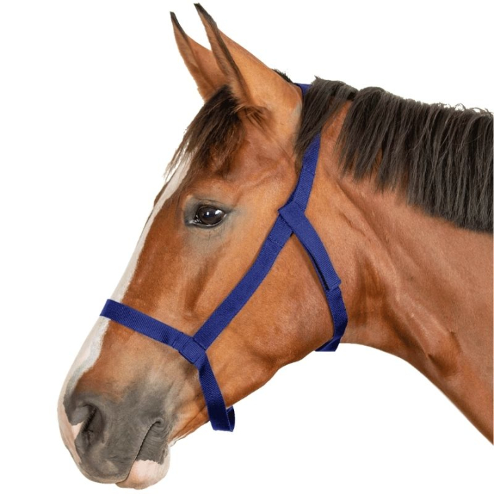 Weidehalfter Grazing Marineblau in der Gruppe Pferdezubehör & Pferdebedarf / Halfter / Stoff- & Nylonhalfter bei Equinest (5045355PNA_r)