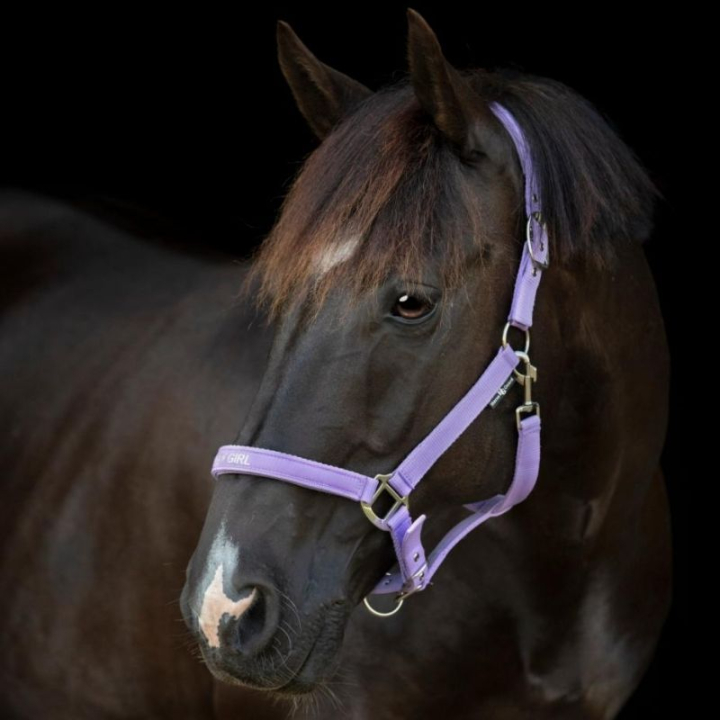 Halfter Malva HG Lila in der Gruppe Pferdezubehör & Pferdebedarf / Halfter / Stoff- & Nylonhalfter bei Equinest (50499020142PU_r)