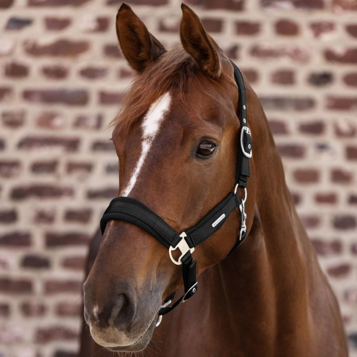 Halfter Breath Schwarz in der Gruppe Pferdezubehör & Pferdebedarf / Halfter / Stoff- & Nylonhalfter bei Equinest (5051601PBA_r)