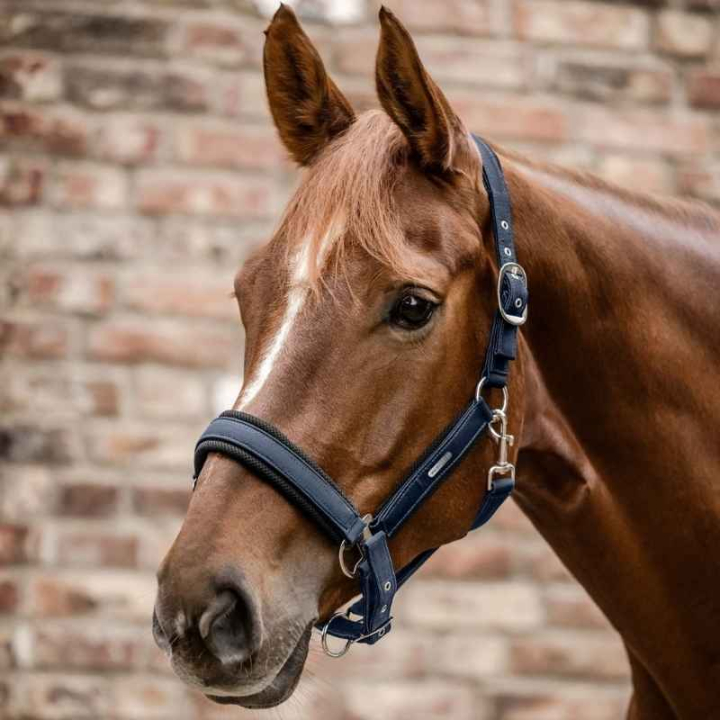 Halfter Breath Marineblau in der Gruppe Pferdezubehör & Pferdebedarf / Halfter / Stoff- & Nylonhalfter bei Equinest (5051605PNA_r)
