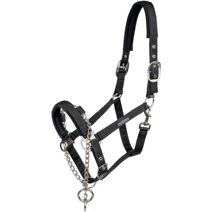 Halfter Control Pro Safety Schwarz in der Gruppe Pferdezubehör & Pferdebedarf / Halfter / Stoff- & Nylonhalfter bei Equinest (5051801VBA_r)