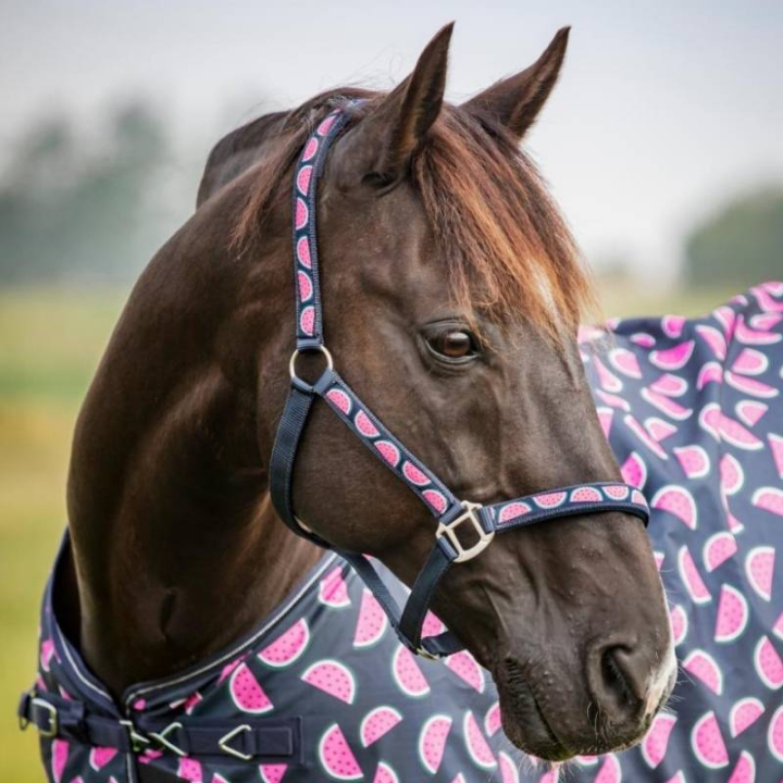 Halfter Watermelon HG Marineblau in der Gruppe Pferdezubehör & Pferdebedarf / Halfter / Stoff- & Nylonhalfter bei Equinest (506830214NA_r)