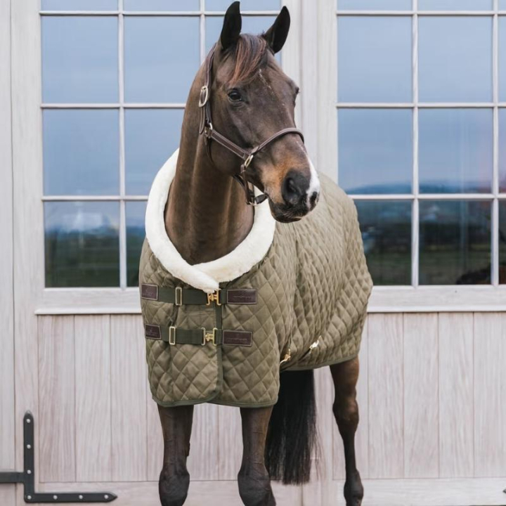 Showdecke/Stalldecke 160g Grün in der Gruppe Pferdedecken / Wettkampf- & Transportdecken bei Equinest (52101LGN)