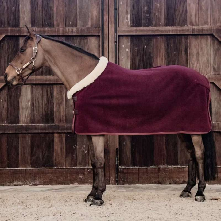 Showdecke Heavy Fleece Bordeaux in der Gruppe Pferdedecken / Fleecedecken bei Equinest (52148Bo_r)
