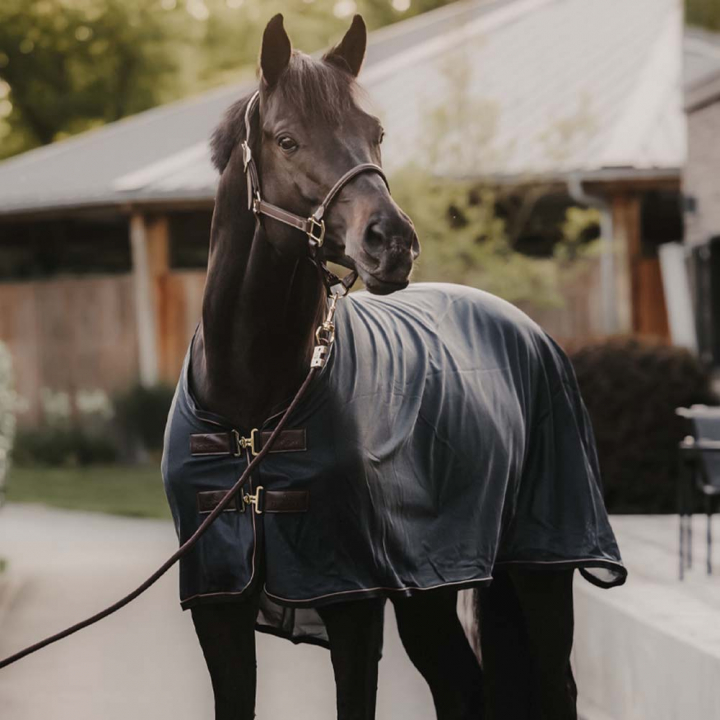 Fliegendecke Mesh Marineblau in der Gruppe Pferdedecken / Fliegendecken & Ekzemerdecken bei Equinest (52157Ma_r)