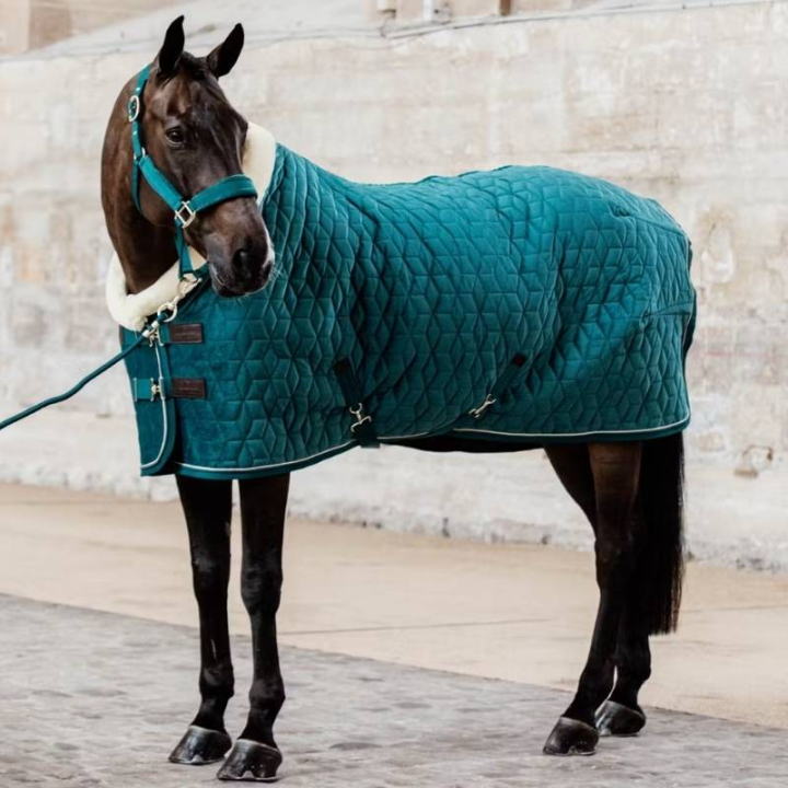 Turnierdecke Velvet Emerald in der Gruppe Pferdedecken / Wettkampf- & Transportdecken bei Equinest (52171Gn_r)