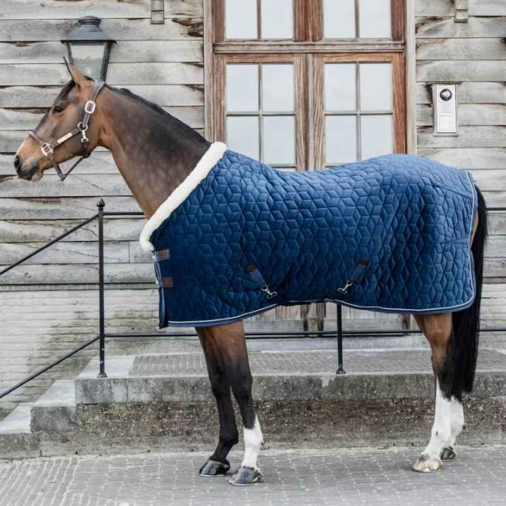 Turnierdecke Samt Marineblau in der Gruppe Pferdedecken / Wettkampf- & Transportdecken bei Equinest (52171Ma_r)