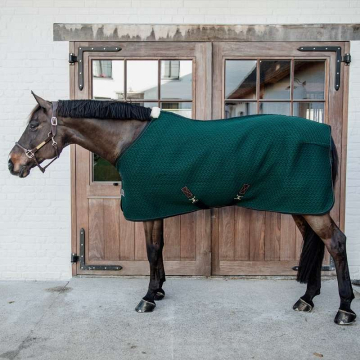 Abschwitzdecke 4D Spacer Grün in der Gruppe Pferdedecken / Abschwitzdecken bei Equinest (52183PGN)