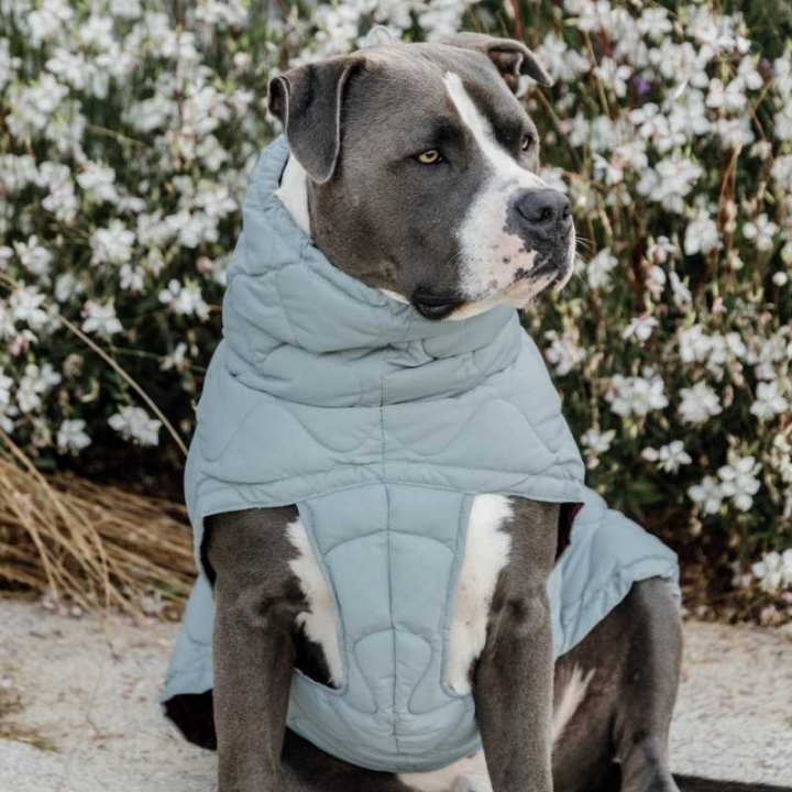 Hundemantel Winter Pina 160g Blau in der Gruppe Hund / Hundedecken & Hundemäntel bei Equinest (5218809LBL_r)