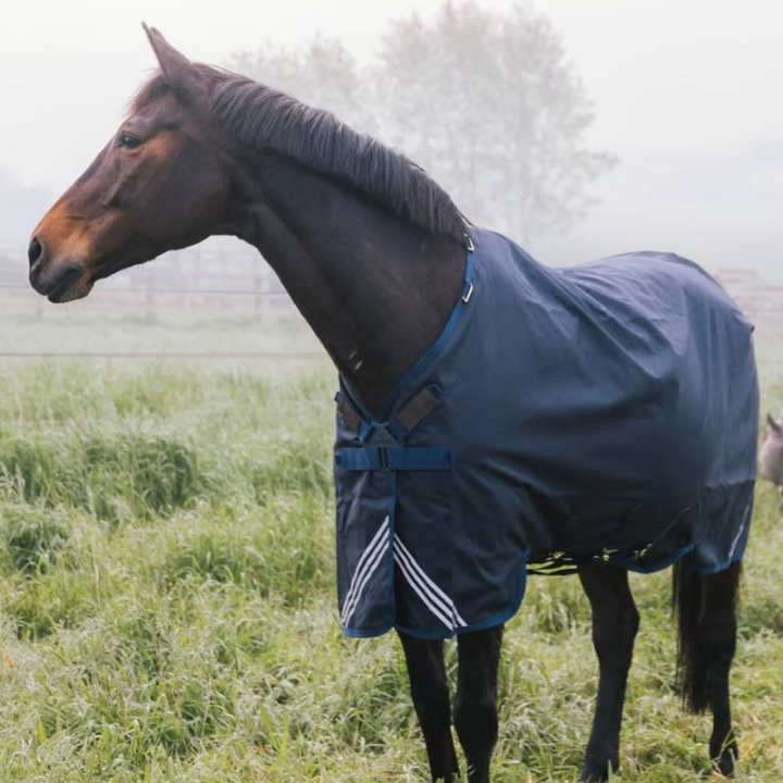 Turnout Rug All Weather Waterproof Comfort 100g Marineblau in der Gruppe Pferdedecken / Outdoordecken / Übergangsdecken bei Equinest (52192NA_r)