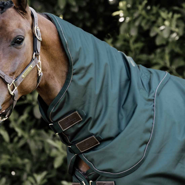 Hals All Weather Waterproof Pro 150g Dunkelgrün in der Gruppe Pferdedecken / Halsteile bei Equinest (52201DGN_r)