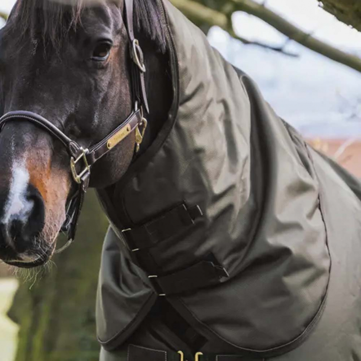 Hals All Weather Waterproof Pro 150g Khakigrün in der Gruppe Pferdedecken / Halsteile bei Equinest (52201KGN_r)