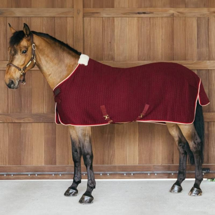 Abschwitzdecke PROTherm Bordeaux in der Gruppe Pferdedecken / Abschwitzdecken bei Equinest (52231RE_r)