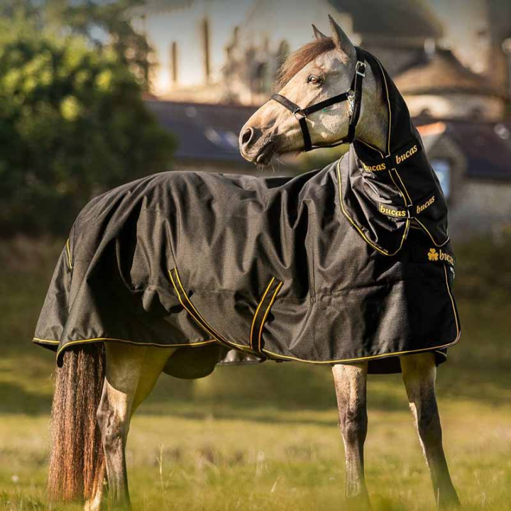 Regendecke mit Hals Irish Turnout 50g Schwarz/Gold in der Gruppe Pferdedecken / Outdoordecken / Regendecken bei Equinest (5361522BAGO_r)