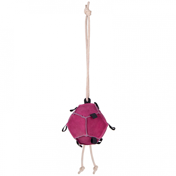 Pferdespielzeug Ball Loop aus Leder Rosa in der Gruppe Stall & Weide / Pferdespielzeug bei Equinest (5447PI)