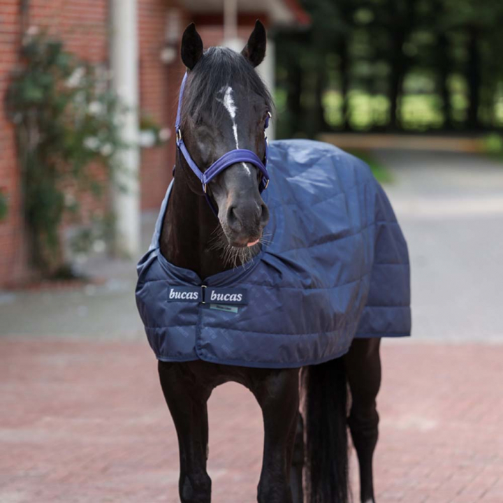 Liner Layer 300g Marineblau in der Gruppe Pferdedecken / Liners & Unterdecken bei Equinest (55335BL)