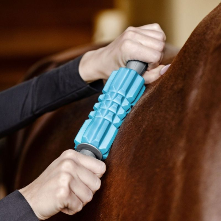 Massagerolle Fascia Fit Hellblau in der Gruppe Pflegeprodukte / Massage & Kreislauf bei Equinest (5700700LBL)