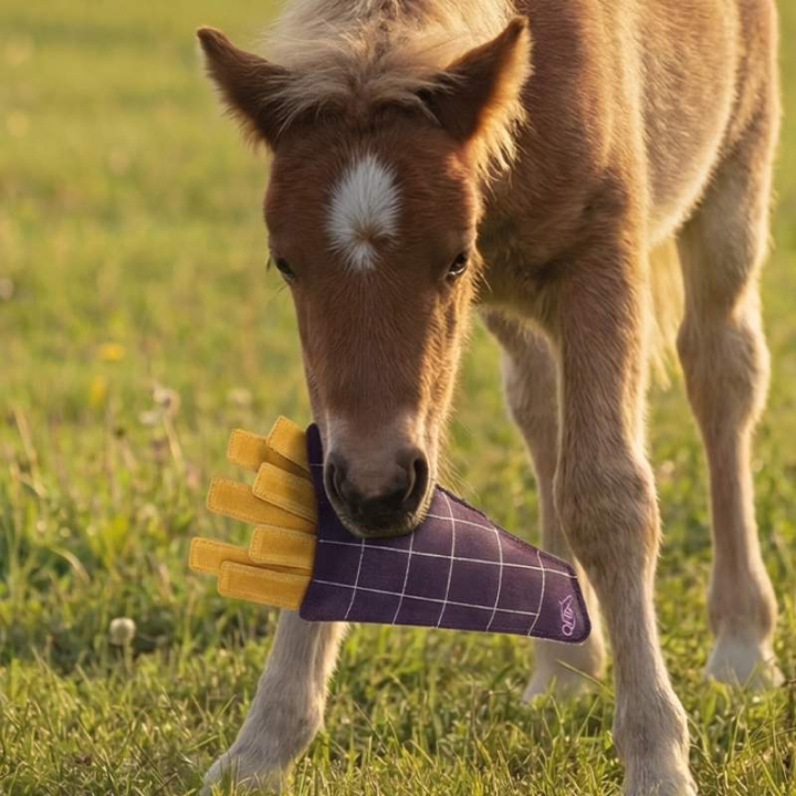 Pferdespielzeug Snackcounter Fries in der Gruppe Stall & Weide / Pferdespielzeug bei Equinest (5740FRS0)