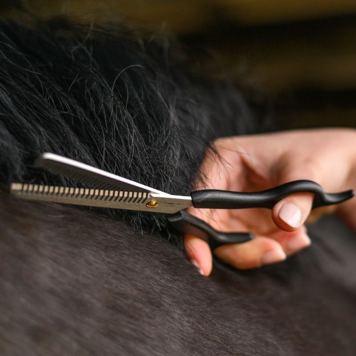 Effilierschere Thinning Shears Schwarz in der Gruppe Pflegeprodukte / Pferdebürsten / Scheren & Verziehmesser bei Equinest (603300BA)