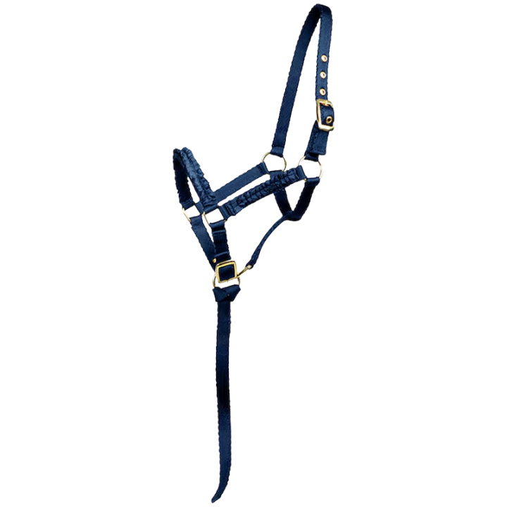 Fohlenhalfter HS Ungefüttert Blau in der Gruppe Pferdezubehör & Pferdebedarf / Halfter / Fohlenhalfter bei Equinest (603426BL_r)