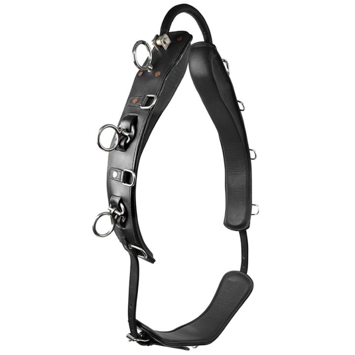 Longiergurt mit Bogen HS Schwarz in der Gruppe Pferdezubehör & Pferdebedarf / Longieren & Bodenarbeit bei Equinest (603953BA)