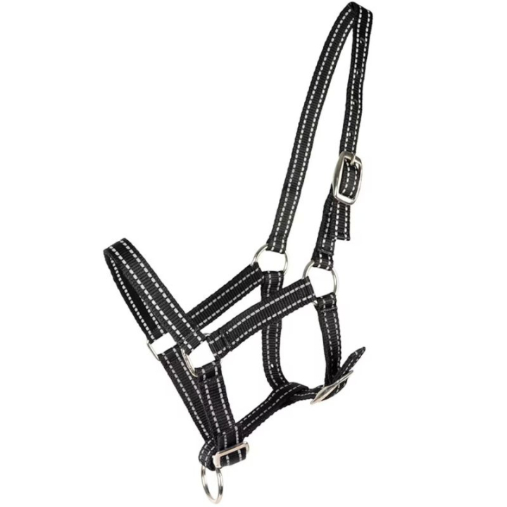 Fohlenhalfter HS Reflective Schwarz in der Gruppe Pferdezubehör & Pferdebedarf / Halfter / Fohlenhalfter bei Equinest (604734BA)