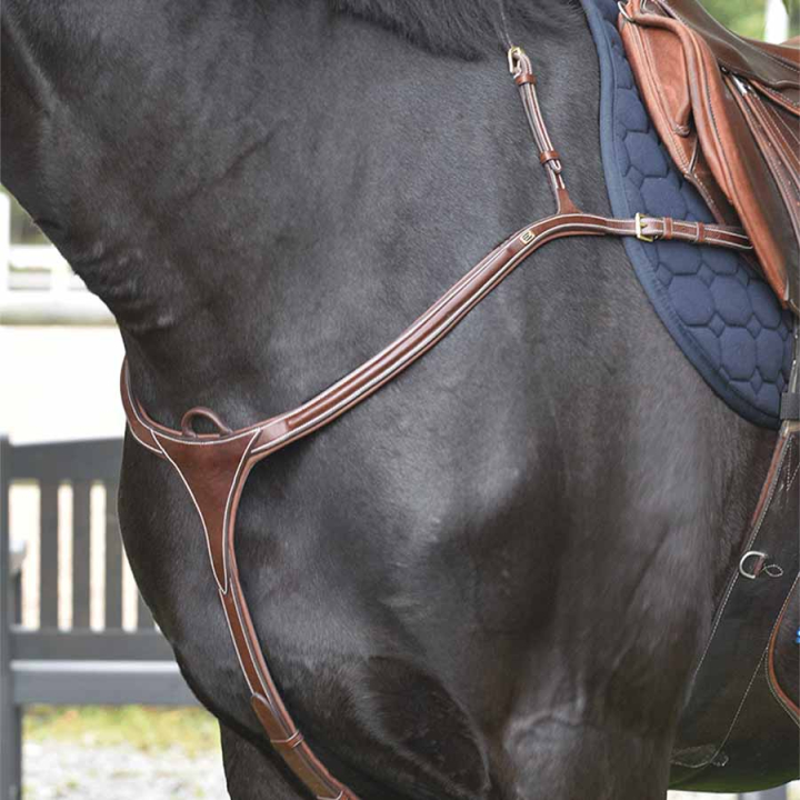 Vorderzeug E-Logo Braun/Messing in der Gruppe Pferdezubehör & Pferdebedarf / Martingal & Vorderzeug / Vorderzeug bei Equinest (610001000203BR)