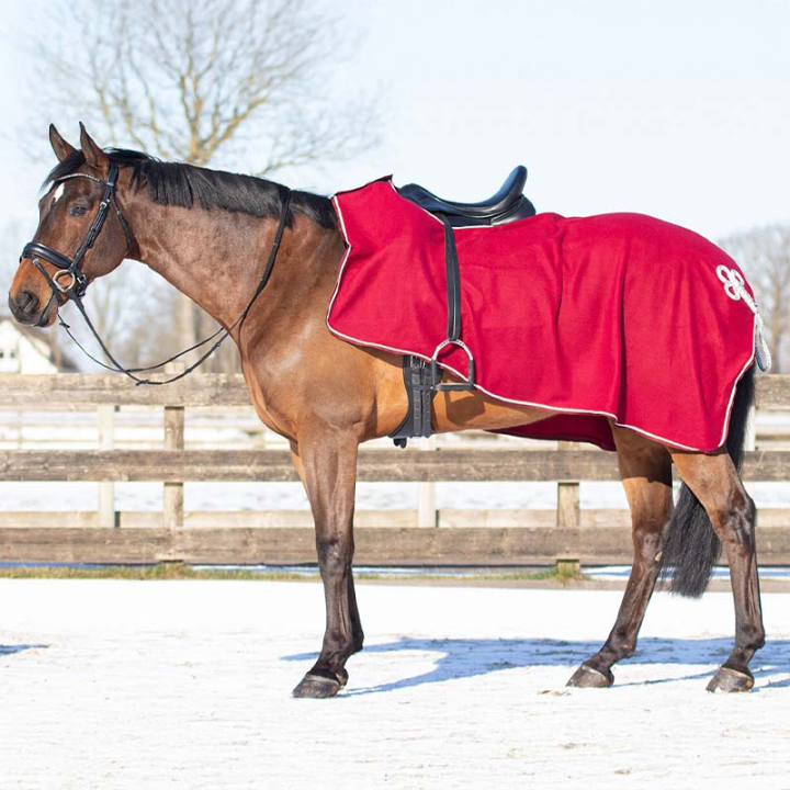 Ausreitdecke Ornament Fleece Bordeaux/Silber in der Gruppe Pferdedecken / Ausreitdecken & Nierendecken bei Equinest (6106BOZILWN_r)